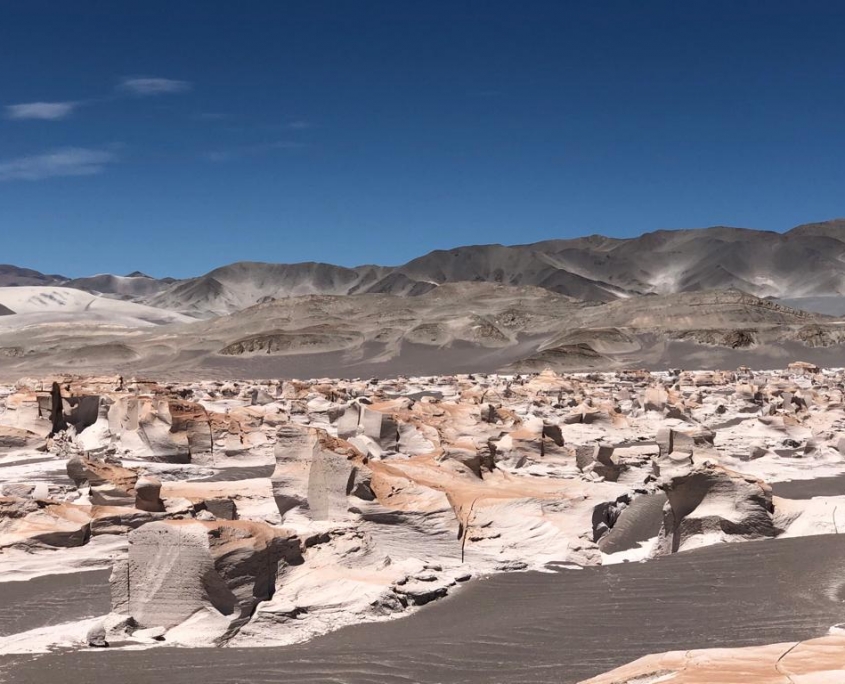 PHOTO-2019-10-17-14-29-14