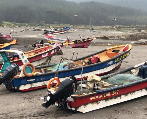 PHOTO-2019-11-22-21-32-34