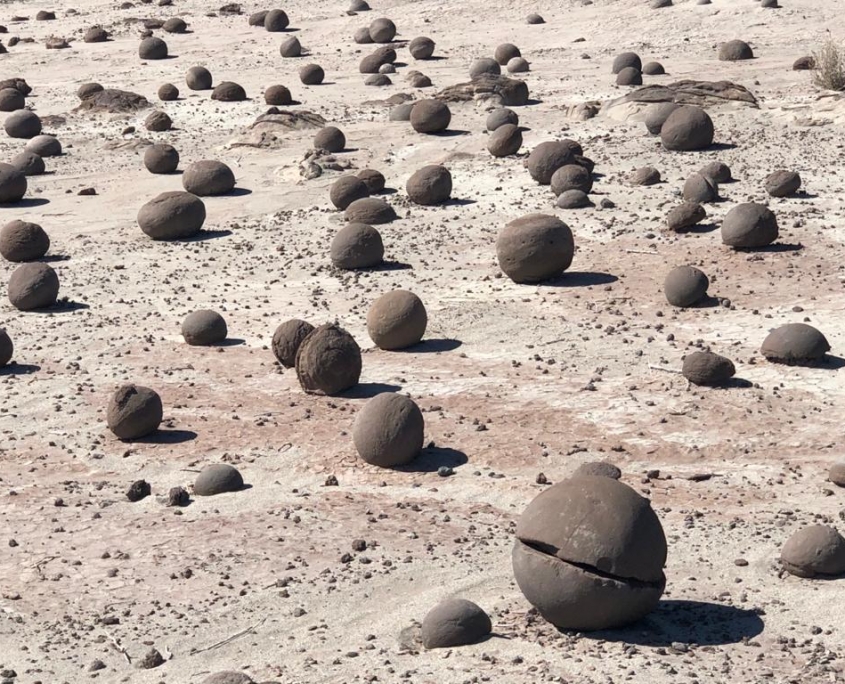 PHOTO-2019-12-05-19-09-19