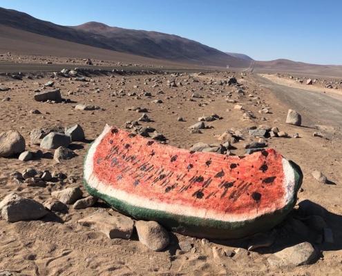 PHOTO-2020-01-29-23-08-48